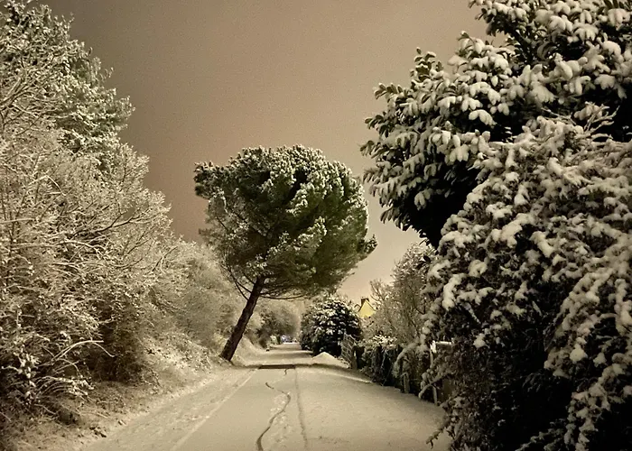 EVERGREEN GuestHouse